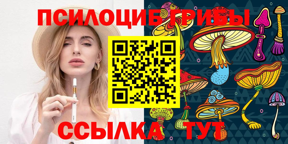 Галлюциногенные грибы MAGIC MUSHROOMS  Вход с VPN  Хабаровск 