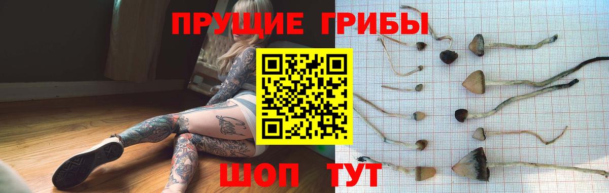 Галлюциногенные грибы Magic Shrooms Хабаровск